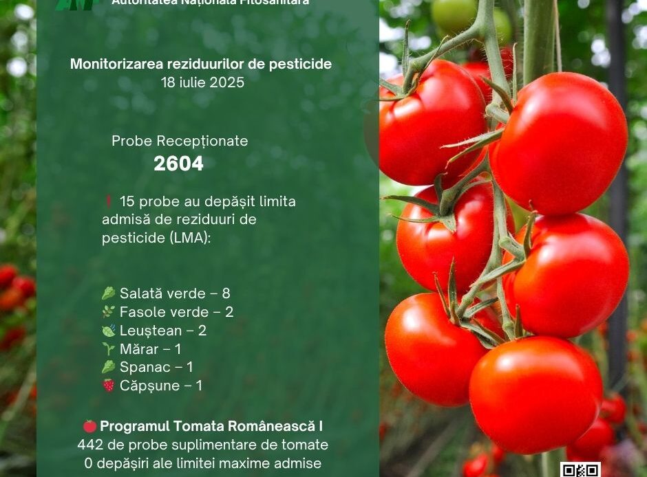ANF monitorizare 2025