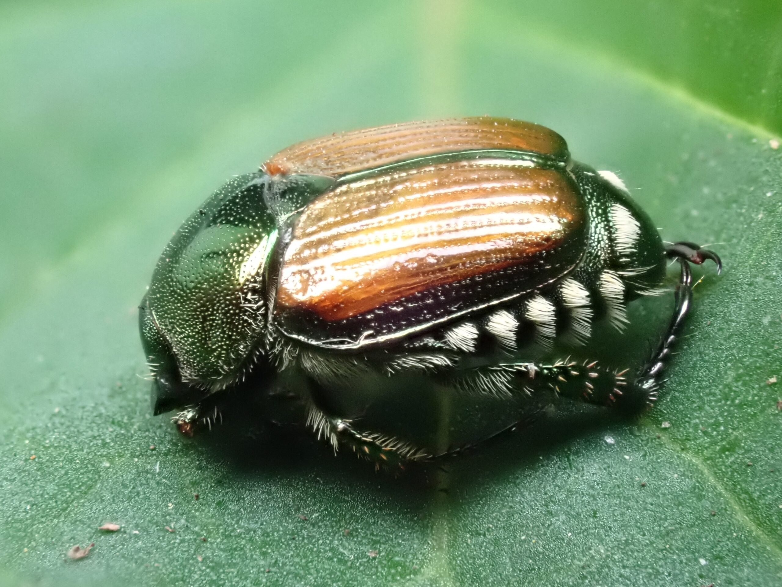shutterstock 2479504837 scaled