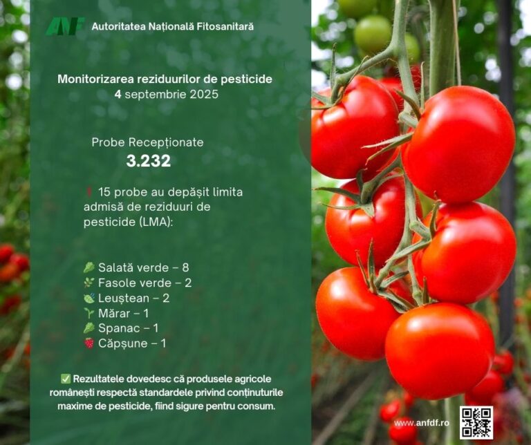 ANF monitorizare 2025 sept