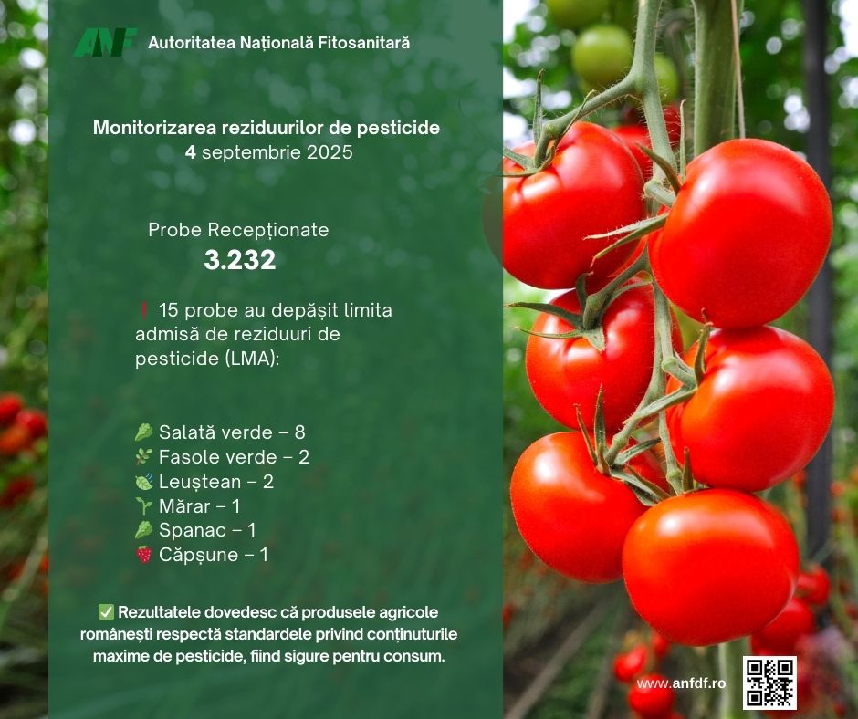 ANF monitorizare 2025 sept