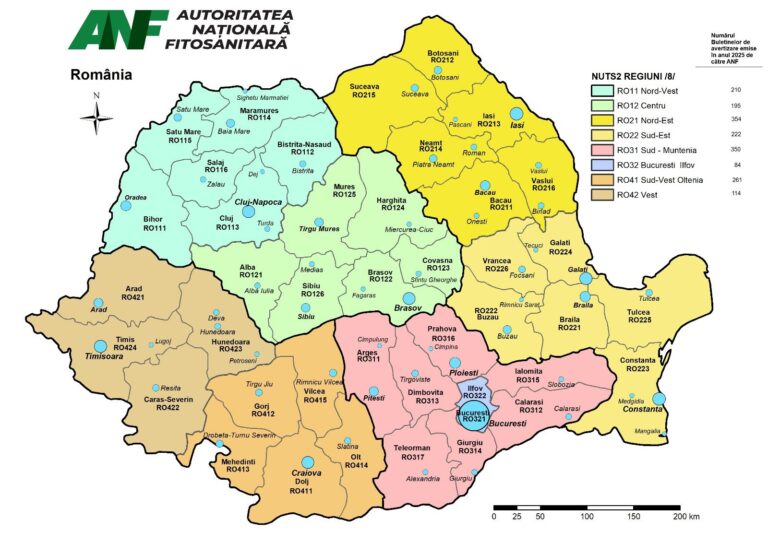 WhatsApp Image 2025 11 24 at 16.01.16