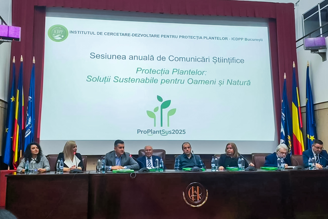 WhatsApp Image 2025 11 26 at 09.57.29