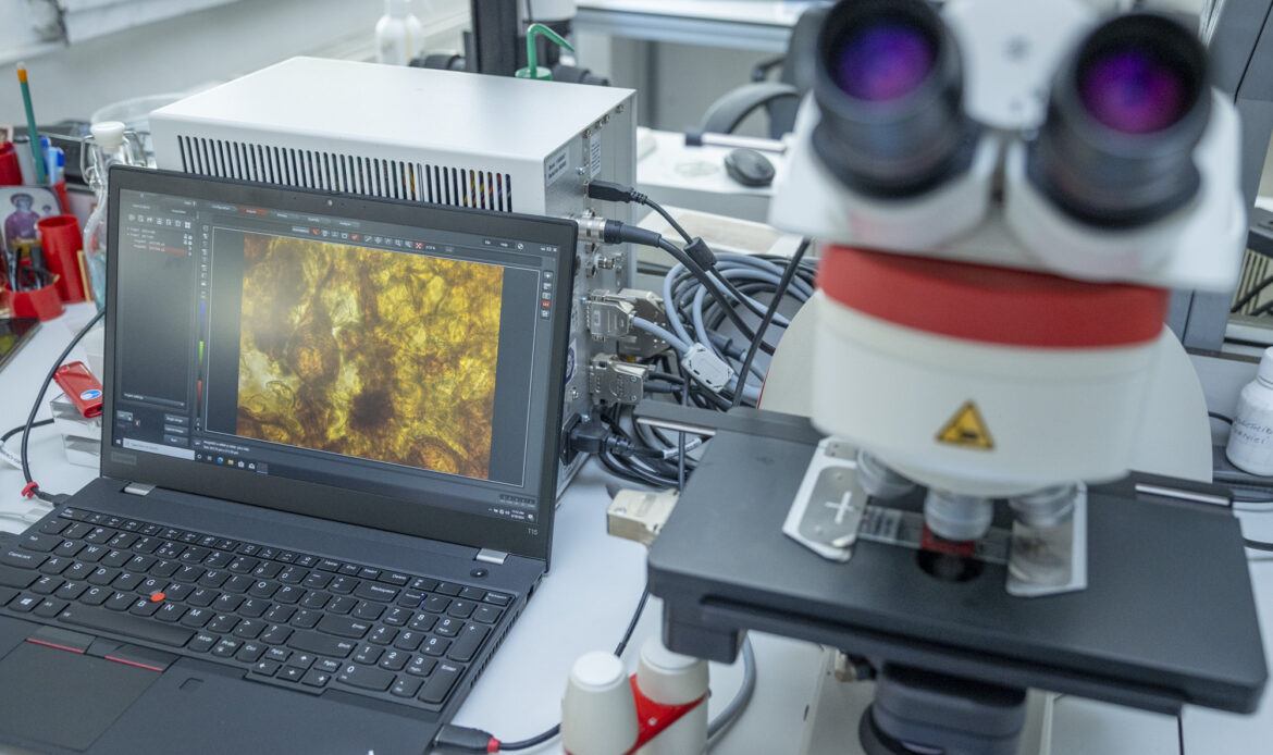 ANF în 2025 – un an cu mai mult control în teren, structură modernizată și dialog cu fermierii 4 ANF Laborator036