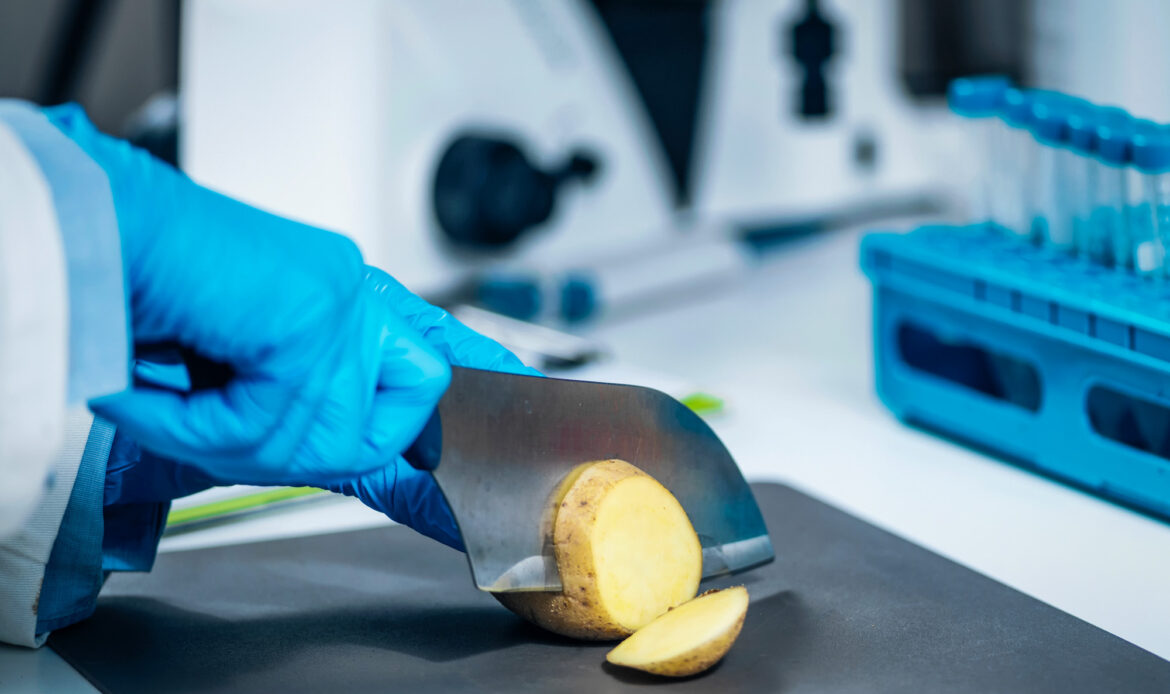 Cartoful din farfurie începe cu un tubercul sănătos 3 Cartofi 5