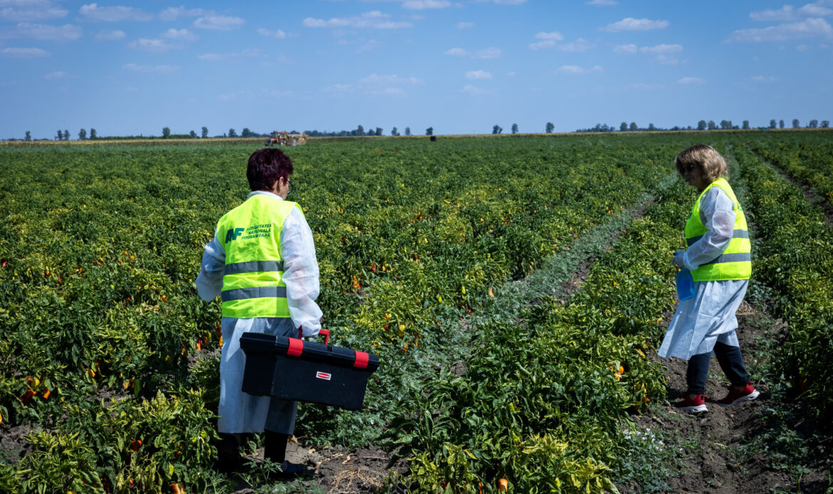 ANF în 2025 – un an cu mai mult control în teren, structură modernizată și dialog cu fermierii 11 Jurilau Asrdei 4