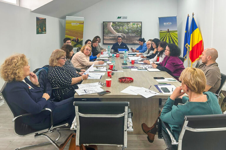 WhatsApp Image 2025 12 02 at 11.14.13 6