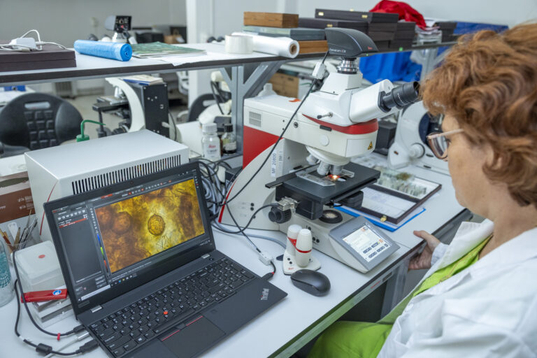 Noutăți 4 ANF Laborator022