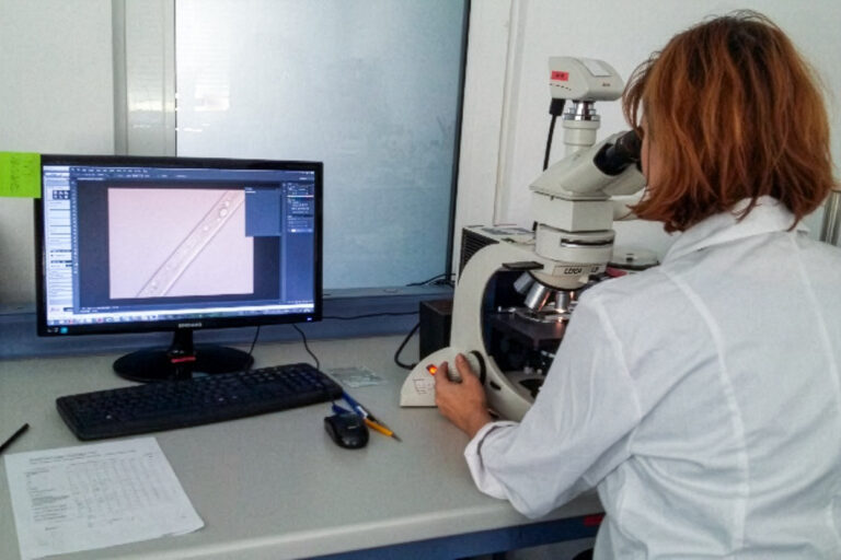 Noutăți 2 Poza microscop nemato Firefly Upscaler 2x scale