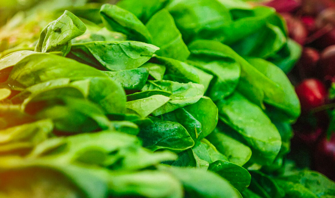 Salata, spanacul și ceapa verde, în atenția ANF înainte de Paște 6 Spanac 1