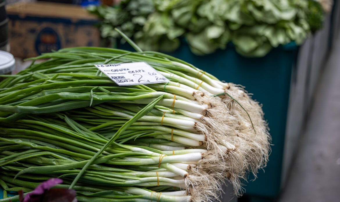 Control tematic al ANF, astăzi, în piețele bucureștene 7 ANF Piata Drumul Taberei0049