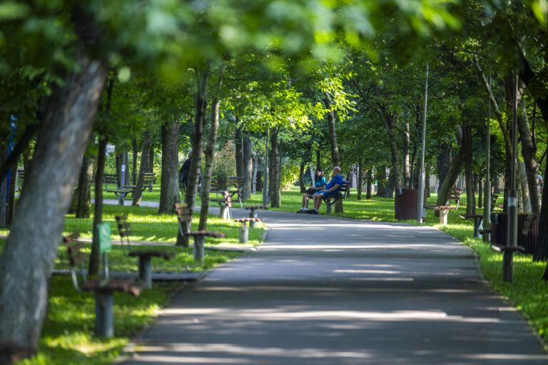 Noutăți 4 Festivalul Florilor Drumul Taberei0252