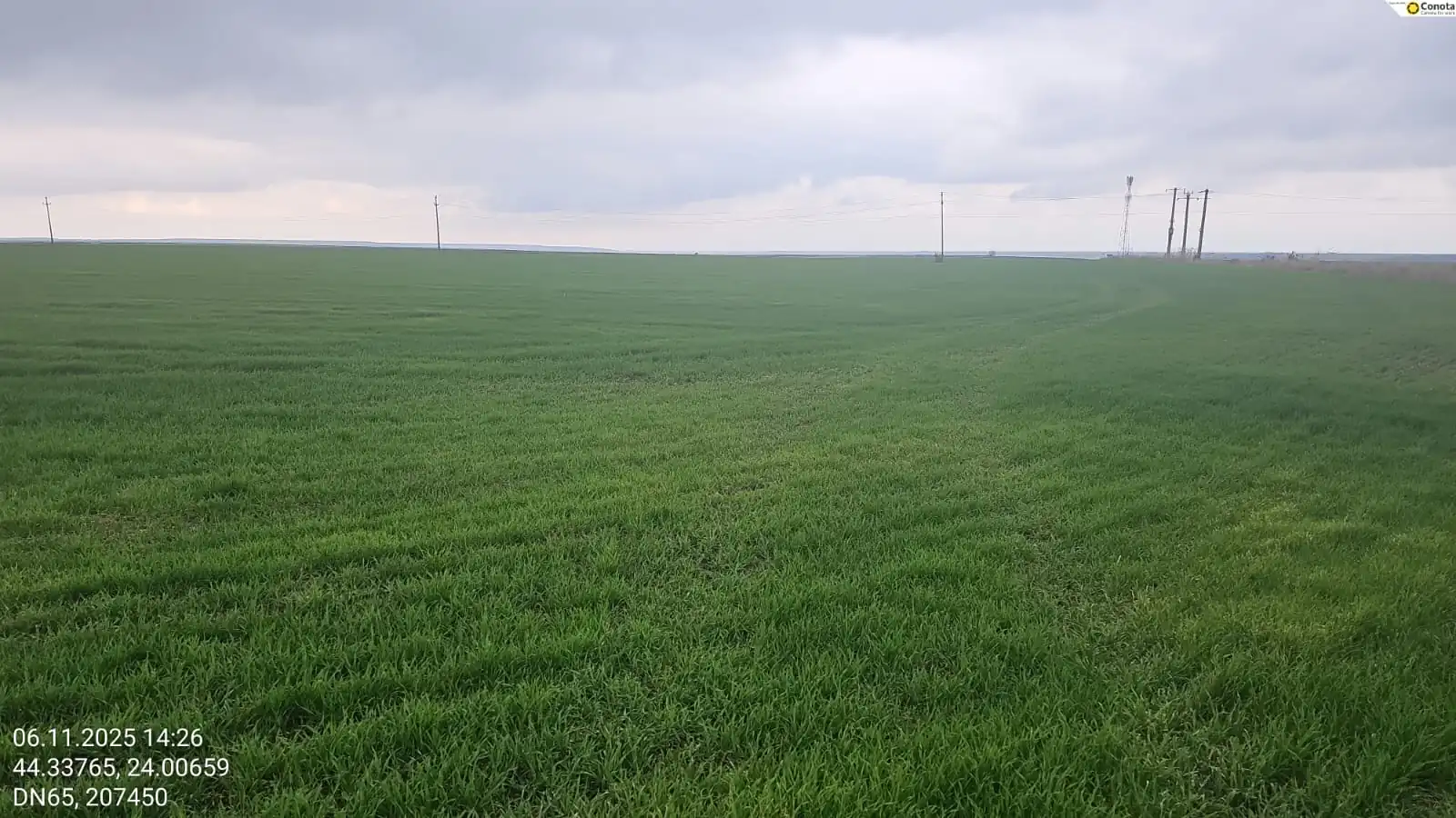 WhatsApp Image 2025 11 07 at 11.18.36